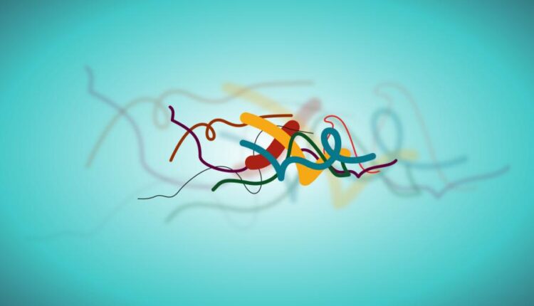 سری هفتاد و چهارم بک گراند برای دسکتاپ   Beautiful Wallpapers