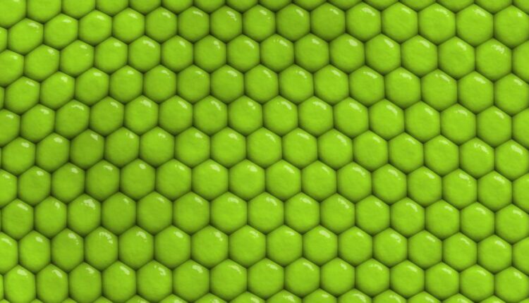 سری هفتاد و چهارم بک گراند برای دسکتاپ   Beautiful Wallpapers