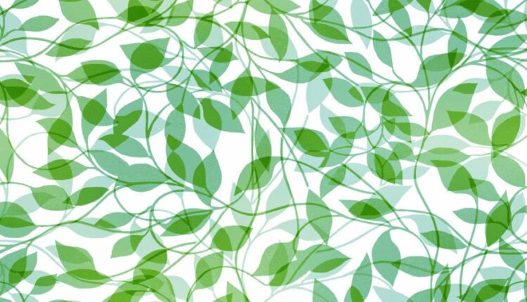 سری هفتاد و چهارم بک گراند برای دسکتاپ   Beautiful Wallpapers