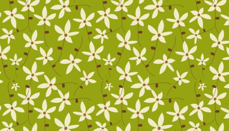 سری هفتاد و چهارم بک گراند برای دسکتاپ   Beautiful Wallpapers