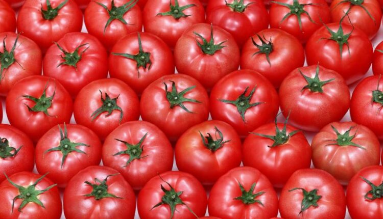 سری هفتاد و چهارم بک گراند برای دسکتاپ   Beautiful Wallpapers