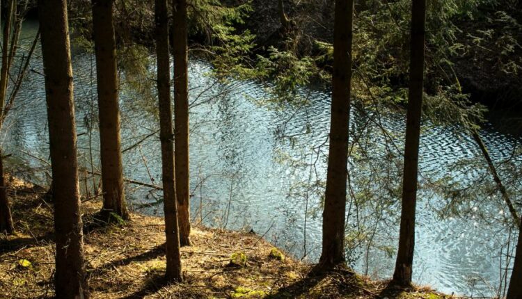 سری هفتاد و سوم عکس زمینه برای دسکتاپ   Beautiful Wallpapers