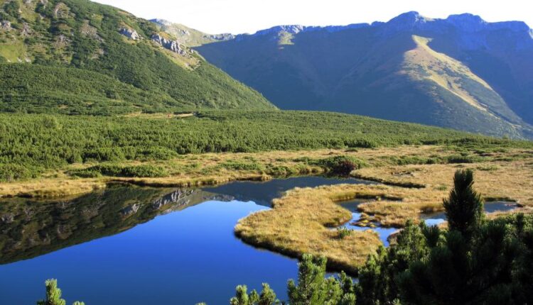 سری هفتاد و سوم عکس زمینه برای دسکتاپ   Beautiful Wallpapers