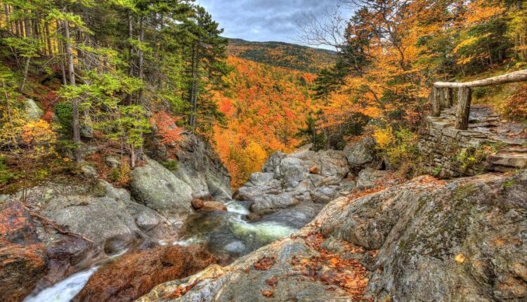 سری هفتاد و سوم عکس زمینه برای دسکتاپ   Beautiful Wallpapers