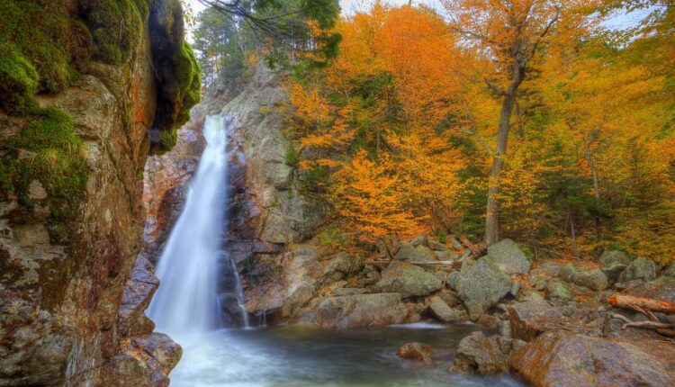 سری هفتاد و سوم عکس زمینه برای دسکتاپ   Beautiful Wallpapers