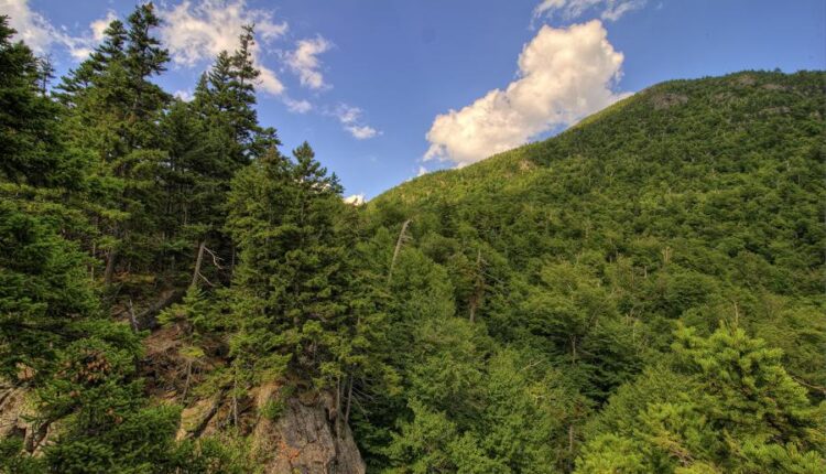 سری هفتاد و سوم عکس زمینه برای دسکتاپ   Beautiful Wallpapers