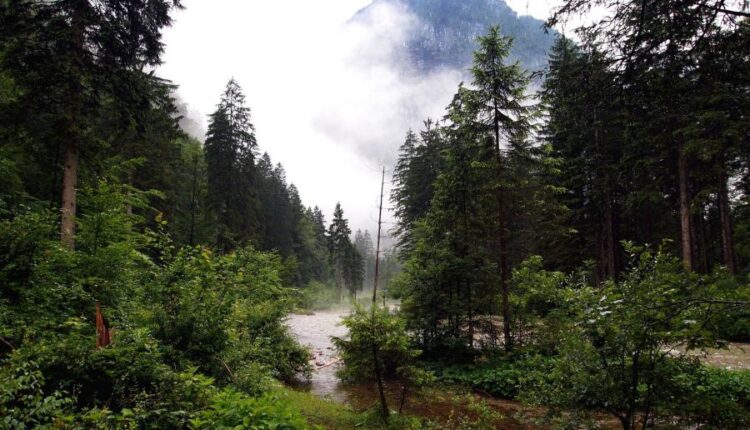 سری هفتاد و سوم عکس زمینه برای دسکتاپ   Beautiful Wallpapers