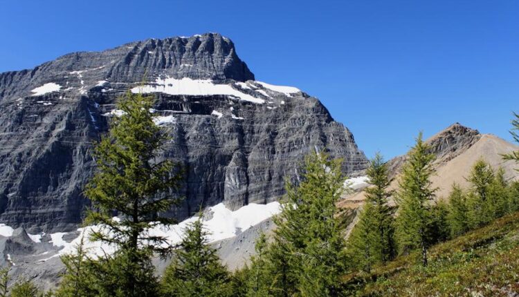 سری هفتاد و سوم عکس زمینه برای دسکتاپ   Beautiful Wallpapers