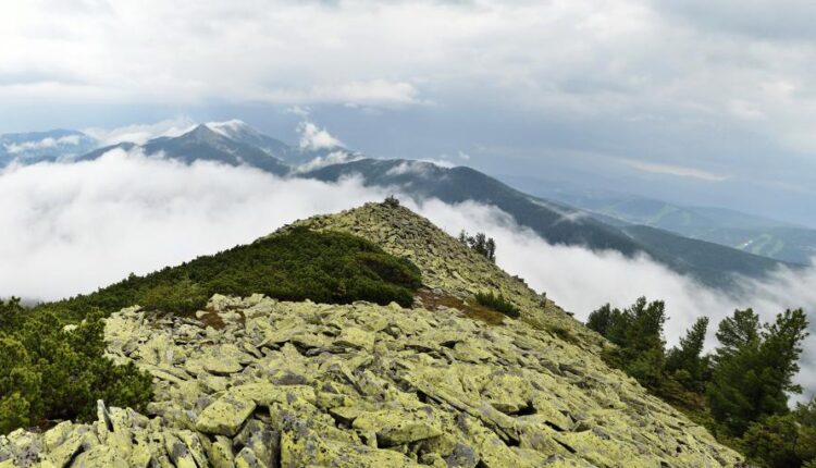 سری هفتاد و سوم عکس زمینه برای دسکتاپ   Beautiful Wallpapers