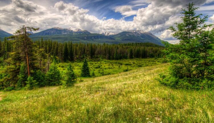 سری هفتاد و سوم عکس زمینه برای دسکتاپ   Beautiful Wallpapers