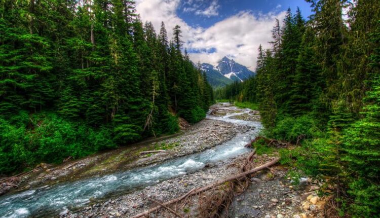 سری هفتاد و سوم عکس زمینه برای دسکتاپ   Beautiful Wallpapers