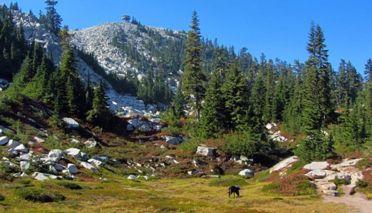 سری هفتاد و سوم عکس زمینه برای دسکتاپ   Beautiful Wallpapers