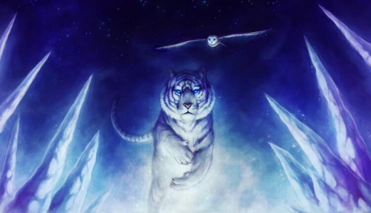 سری هفتاد و پنجم تصویر زمینه برای دسکتاپ   Beautiful Wallpapers