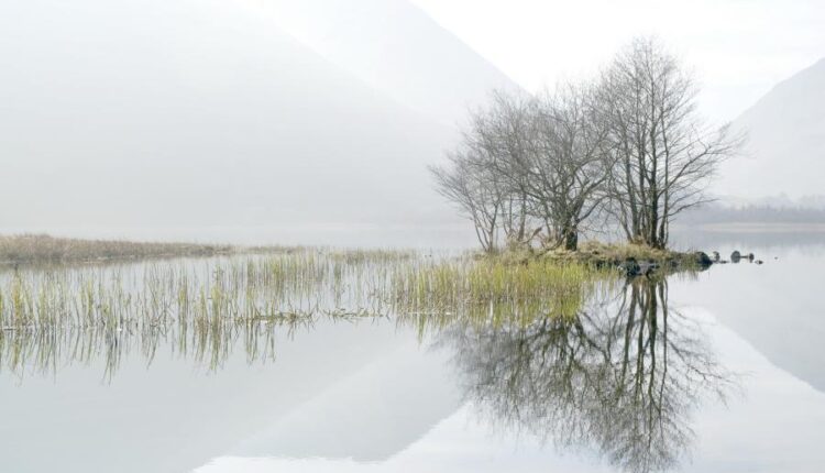 سری هشتادم تصویر زمینه برای موبایل   Beautiful Wallpapers