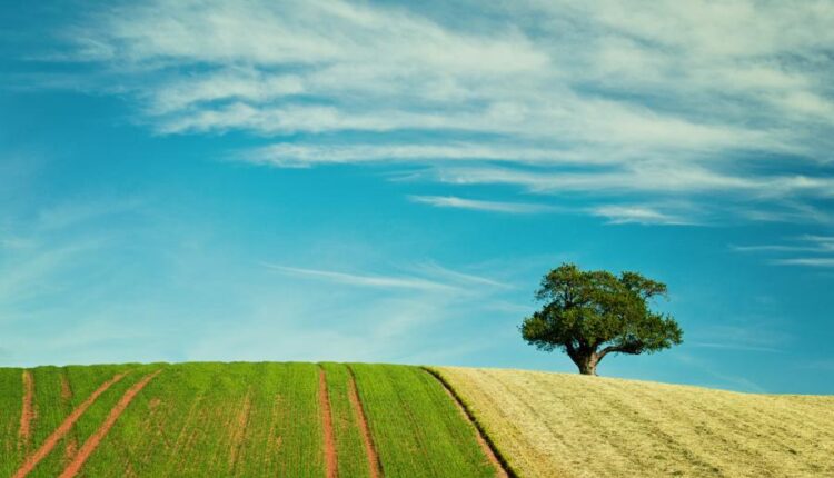 سری هشتادم تصویر زمینه برای موبایل   Beautiful Wallpapers