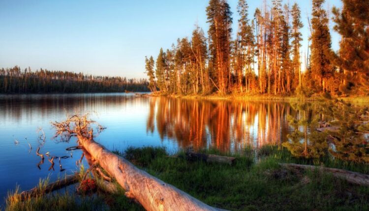 سری هشتادم تصویر زمینه برای موبایل   Beautiful Wallpapers