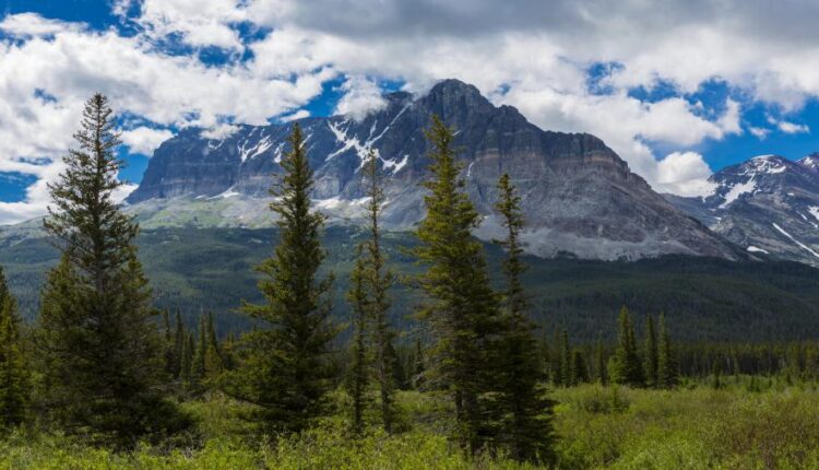 سری هشتادم تصویر زمینه برای موبایل   Beautiful Wallpapers