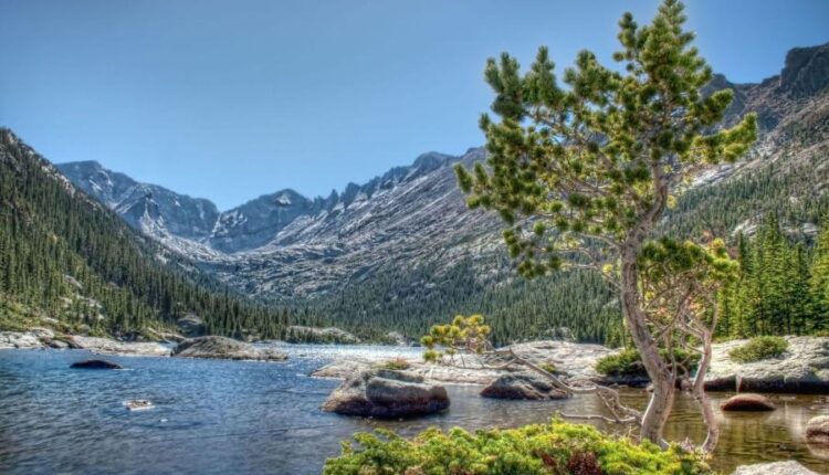 سری هشتادم تصویر زمینه برای موبایل   Beautiful Wallpapers