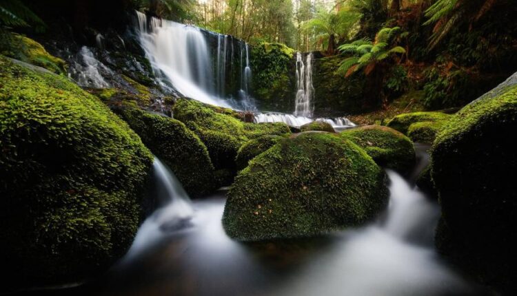 سری هشتادم تصویر زمینه برای موبایل   Beautiful Wallpapers