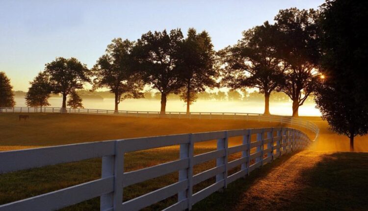 سری هشتادم تصویر زمینه برای موبایل   Beautiful Wallpapers