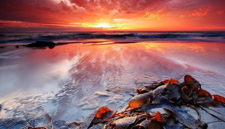 سری هشتادم تصویر زمینه برای موبایل   Beautiful Wallpapers