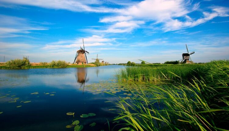 سری هشتادم تصویر زمینه برای موبایل   Beautiful Wallpapers