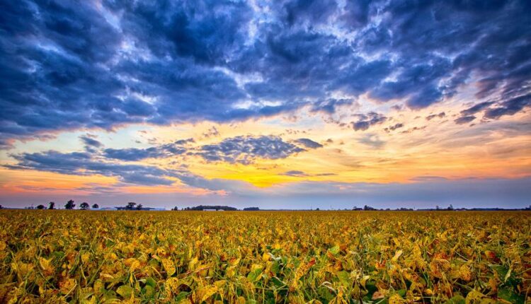 سری هشتادم تصویر زمینه برای موبایل   Beautiful Wallpapers