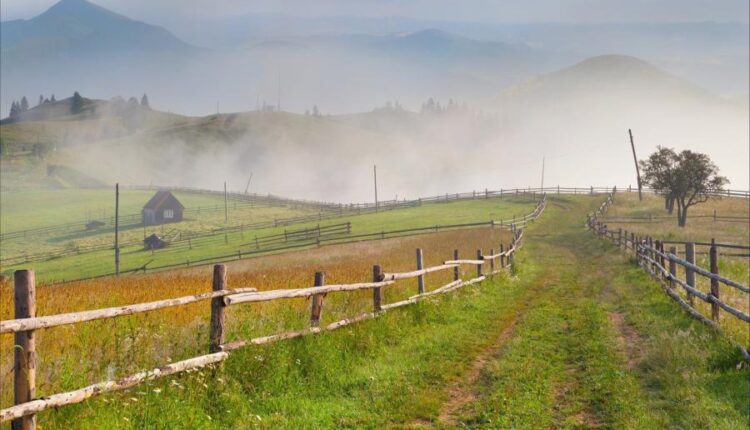 سری هشتادم تصویر زمینه برای موبایل   Beautiful Wallpapers