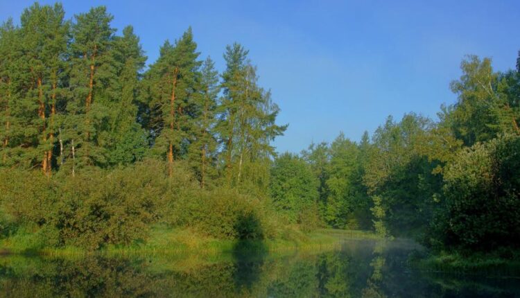 سری هشتادم تصویر زمینه برای موبایل   Beautiful Wallpapers