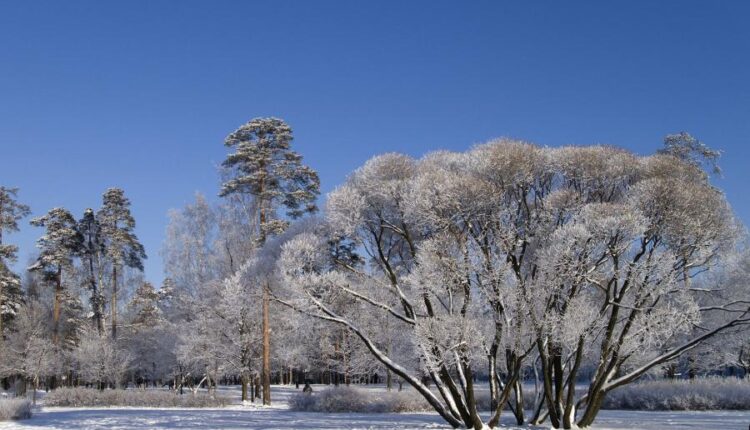 سری هشتادم تصویر زمینه برای موبایل   Beautiful Wallpapers