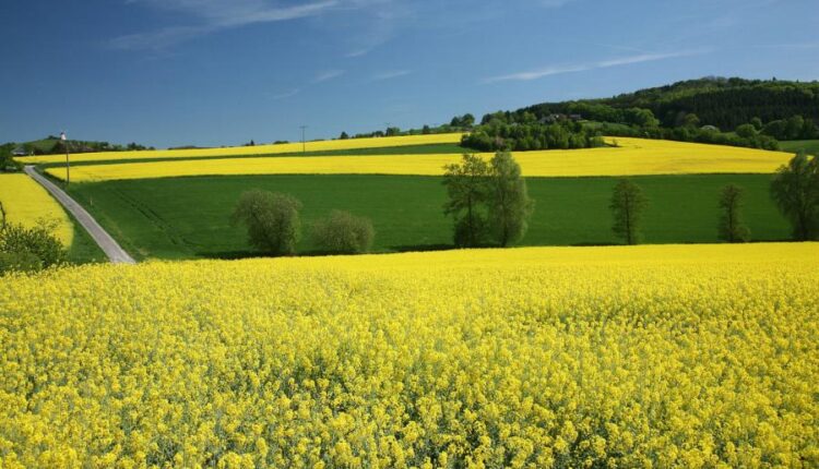 سری هشتادم تصویر زمینه برای موبایل   Beautiful Wallpapers