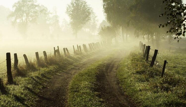 سری هشتادم تصویر زمینه برای موبایل   Beautiful Wallpapers