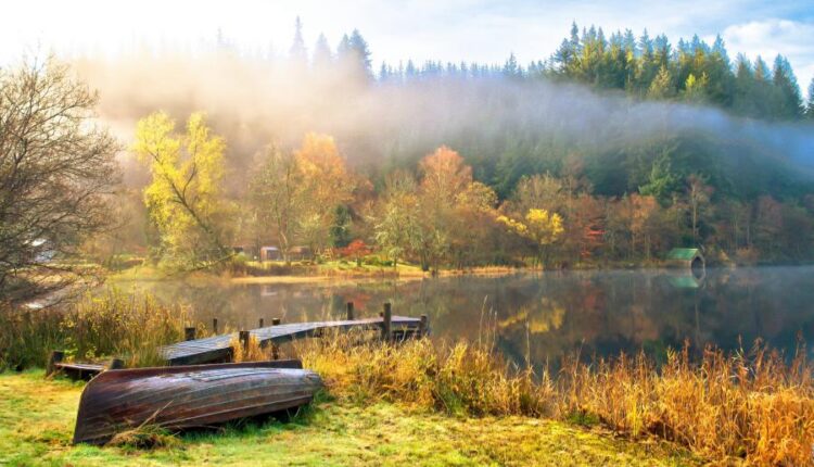 سری هشتادم تصویر زمینه برای موبایل   Beautiful Wallpapers