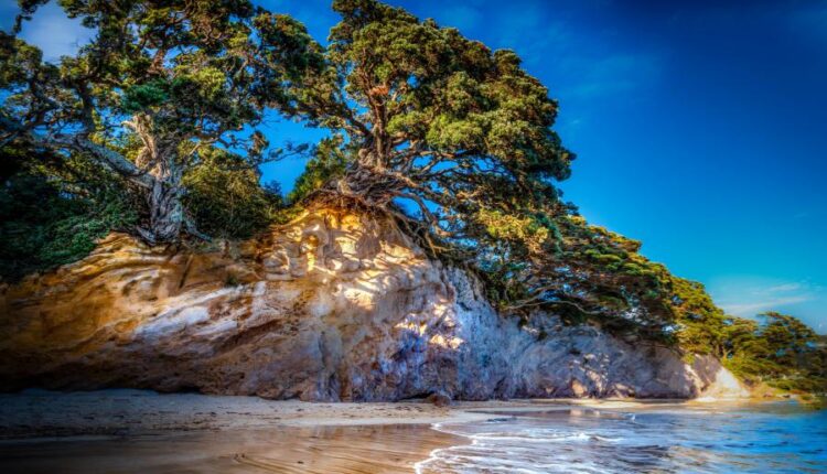 سری هشتادم تصویر زمینه برای موبایل   Beautiful Wallpapers