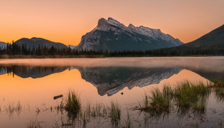 سری هشتادم تصویر زمینه برای موبایل   Beautiful Wallpapers