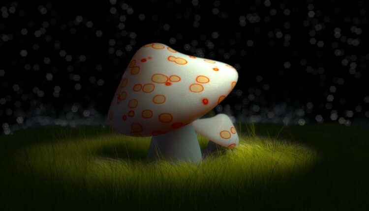 سری هشتاد و دوم والپیپر برای موبایل   Beautiful Wallpapers