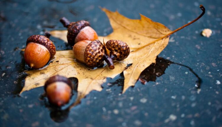 سری هشتاد و دوم والپیپر برای موبایل   Beautiful Wallpapers