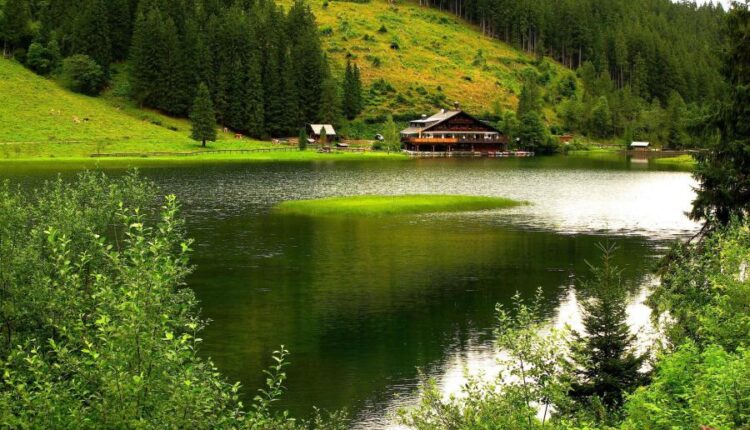 سری هشتاد و دوم والپیپر برای موبایل   Beautiful Wallpapers