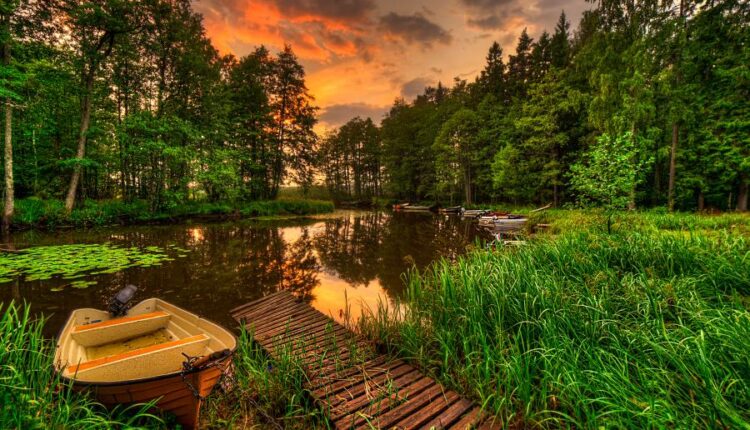 سری هشتاد و دوم والپیپر برای موبایل   Beautiful Wallpapers