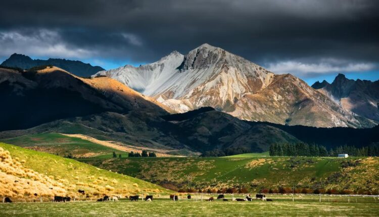 سری هشتاد و دوم والپیپر برای موبایل   Beautiful Wallpapers