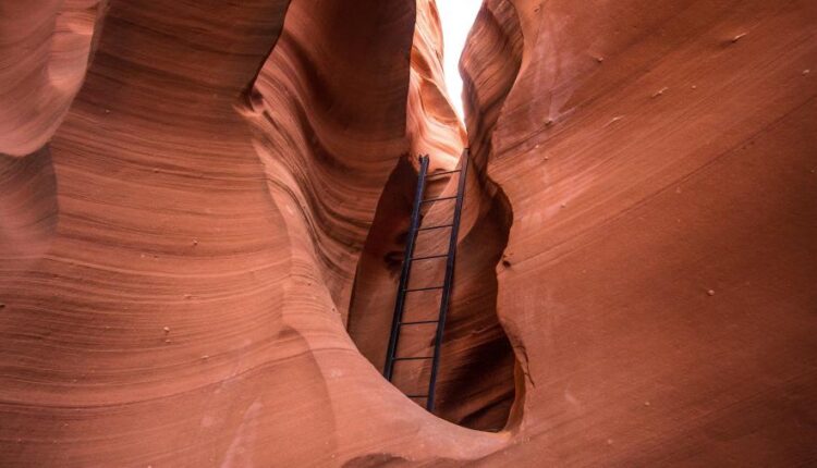 سری هشتاد و دوم والپیپر برای موبایل   Beautiful Wallpapers