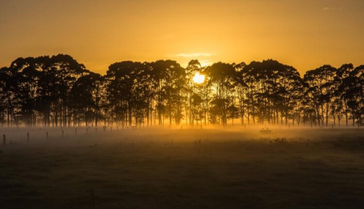 سری هشتاد و دوم والپیپر برای موبایل   Beautiful Wallpapers