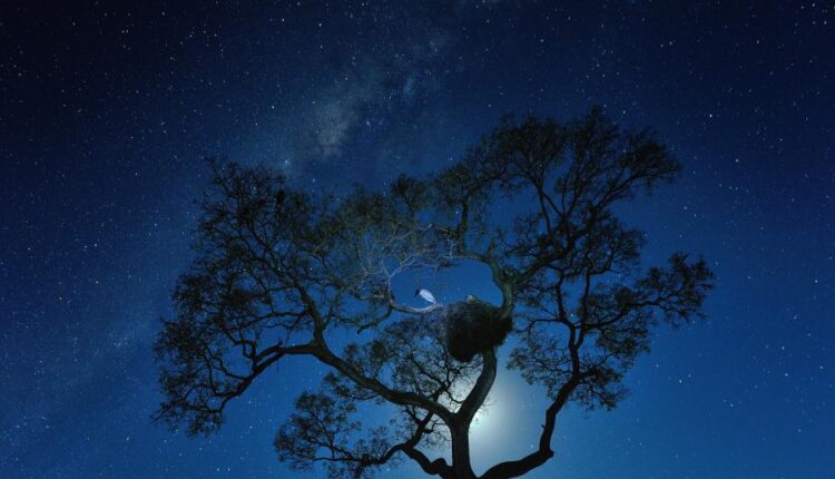 سری هفتاد و نهم بک گراند برای موبایل   Beautiful Wallpapers