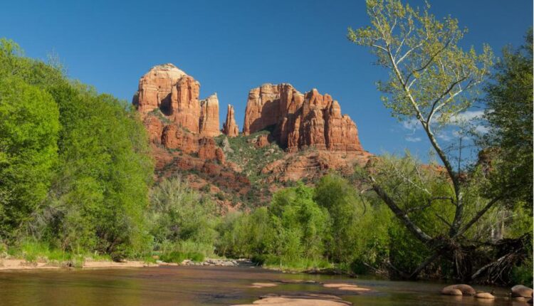 سری هفتاد و نهم بک گراند برای موبایل   Beautiful Wallpapers