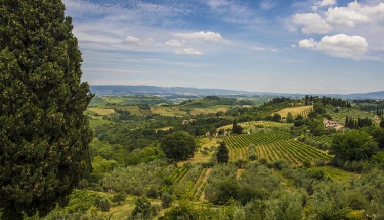 سری هفتاد و نهم بک گراند برای موبایل   Beautiful Wallpapers