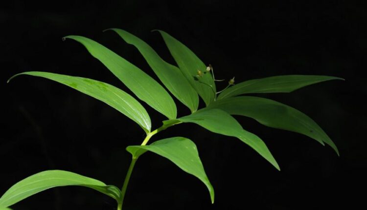 سری هفتاد و نهم بک گراند برای موبایل   Beautiful Wallpapers