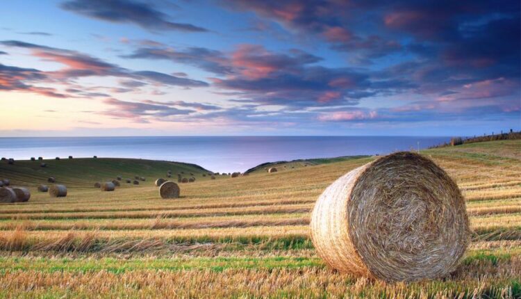 سری هفتاد و نهم بک گراند برای موبایل   Beautiful Wallpapers