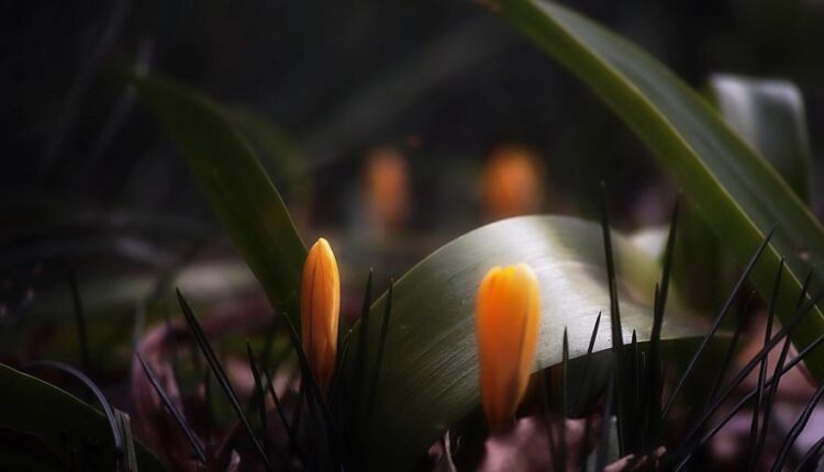 سری هفتاد و نهم بک گراند برای موبایل   Beautiful Wallpapers