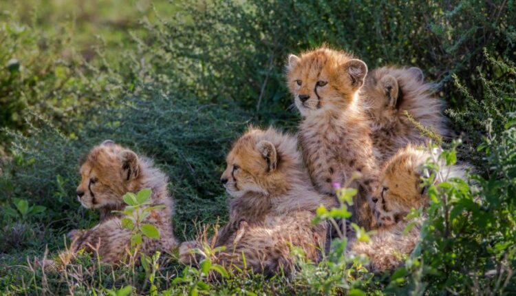 سری هفتاد و هشتم والپیپر برای دسکتاپ   Beautiful Wallpapers