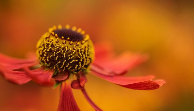 سری هفتاد و هشتم والپیپر برای دسکتاپ   Beautiful Wallpapers